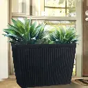 पॉट नेपच्यून ट्रफ