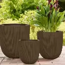 पॉट नेचर रिड्ज्ड