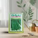 Seed Beans Selection-9