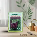 सीड ब्रिंजल पर्पल लॉन्ग