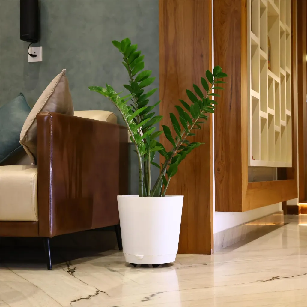 Pot Krish 32  (white)