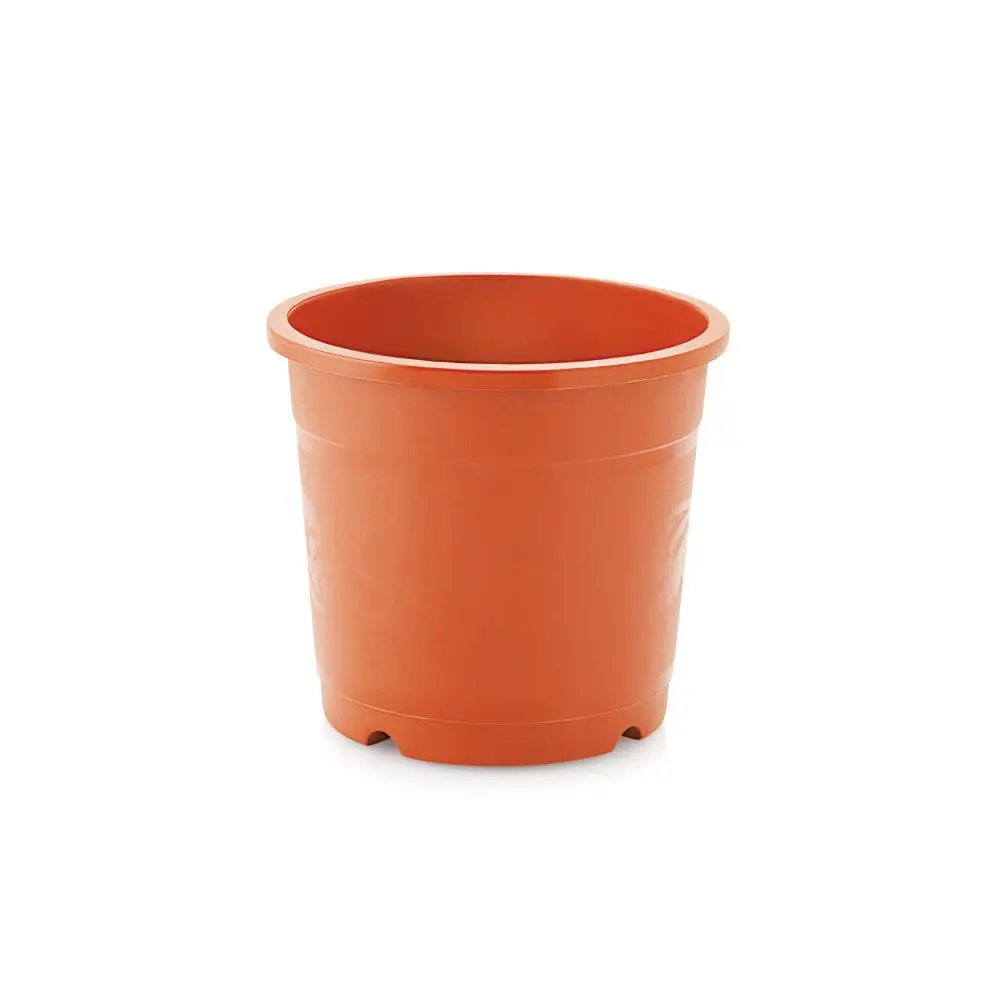 Pot Nisarga 202