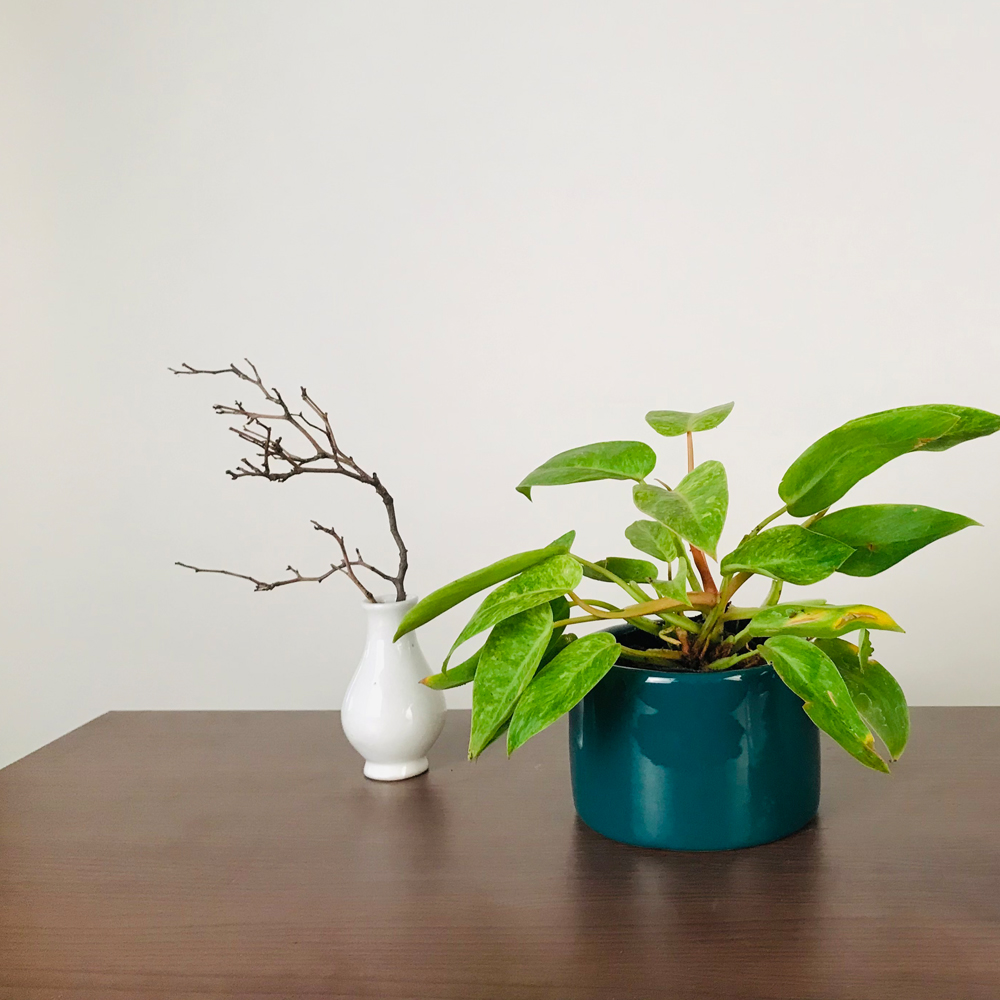 Pot Lilac Stories Bowl