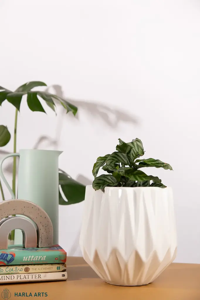 [POCE MWPH V003L D015 D010 H021] Pot Precious Horcrux Medium (Matt White)