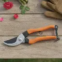 बाय पास सेकेटर