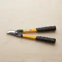 By Pass Lopping Shear