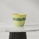 पॉट 11व्ही40