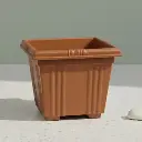 पॉट निसर्ग 703