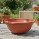 Pot Lilypon Bowl Medium