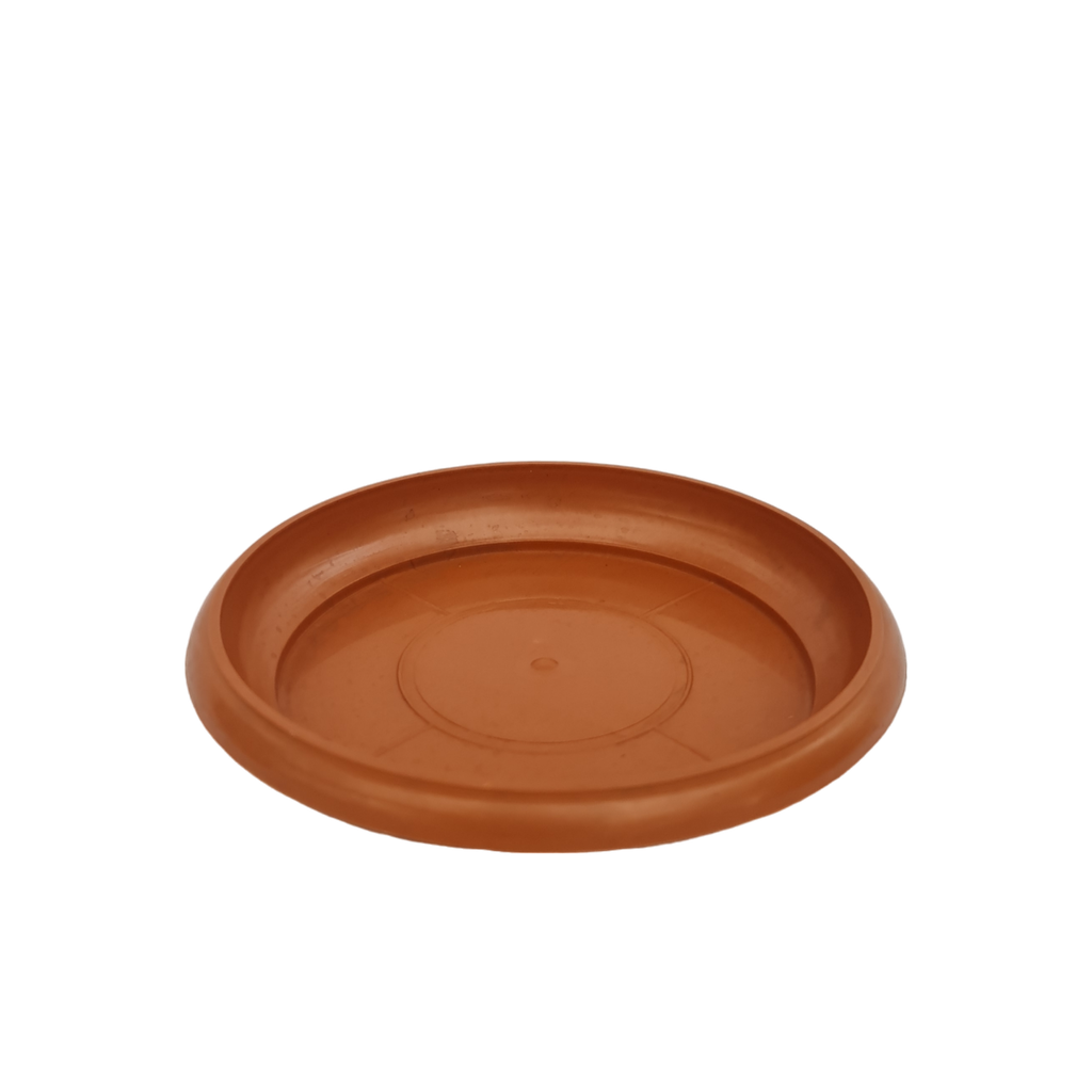 Tray Mini