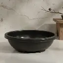 पॉट ओवल 2