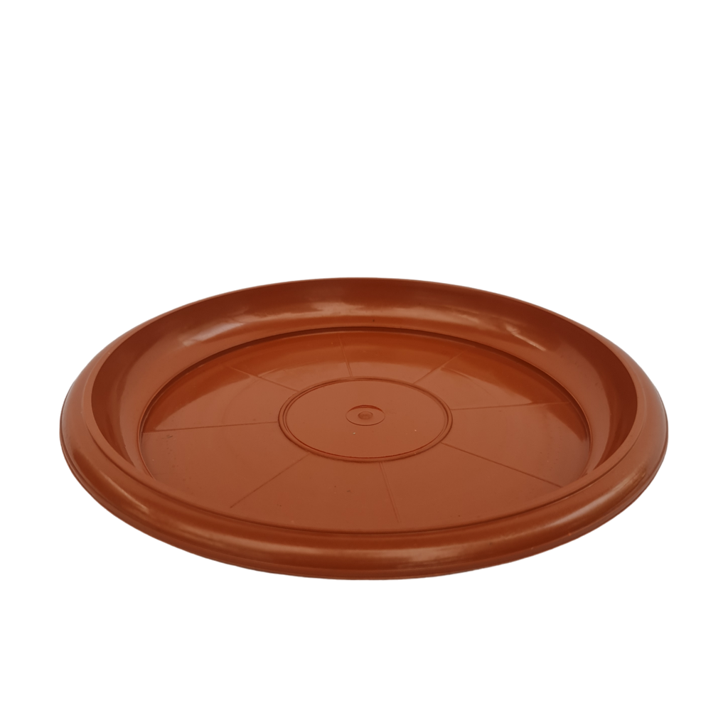 Tray No 1