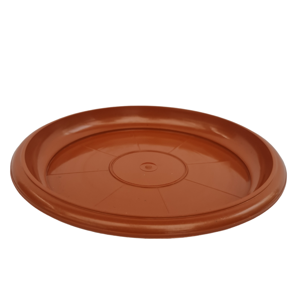 Tray No 2