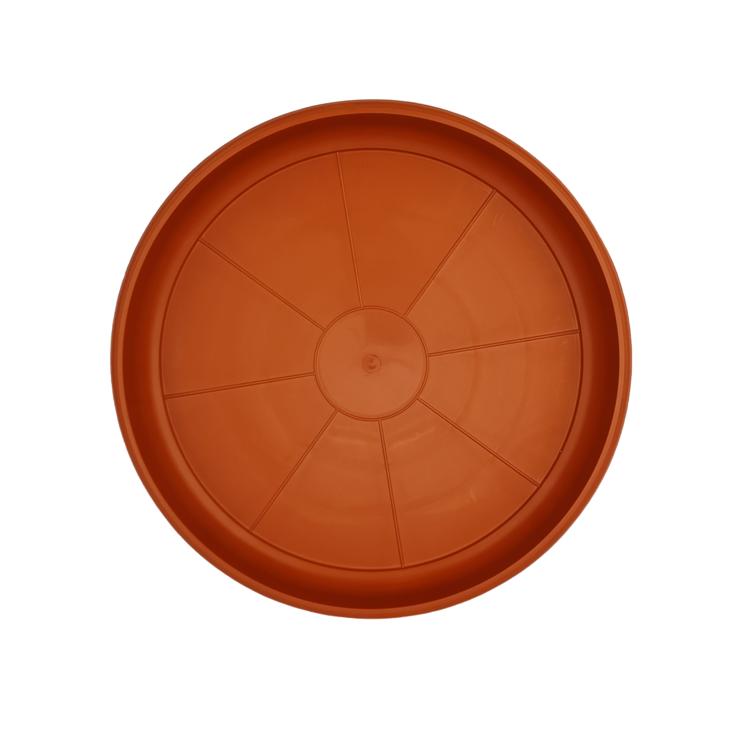 Tray No 3