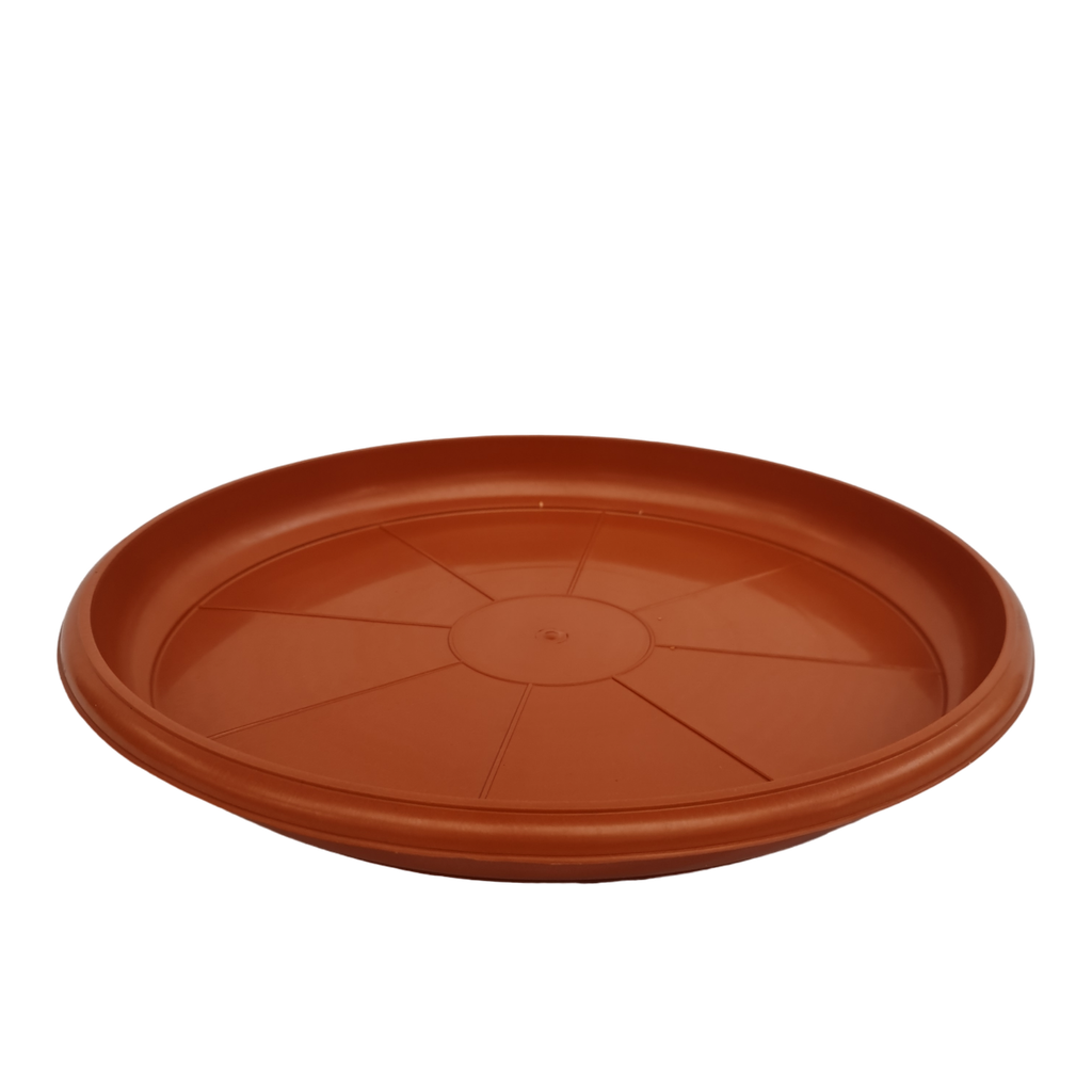 Tray No 4