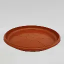 Tray No 4