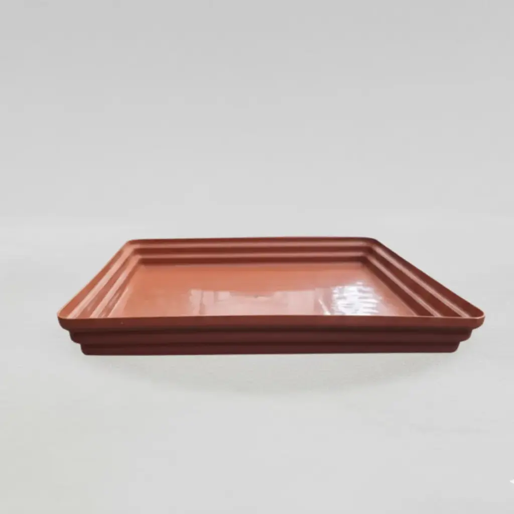 Tray No 5 TC