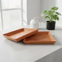 Tray No 5 TC