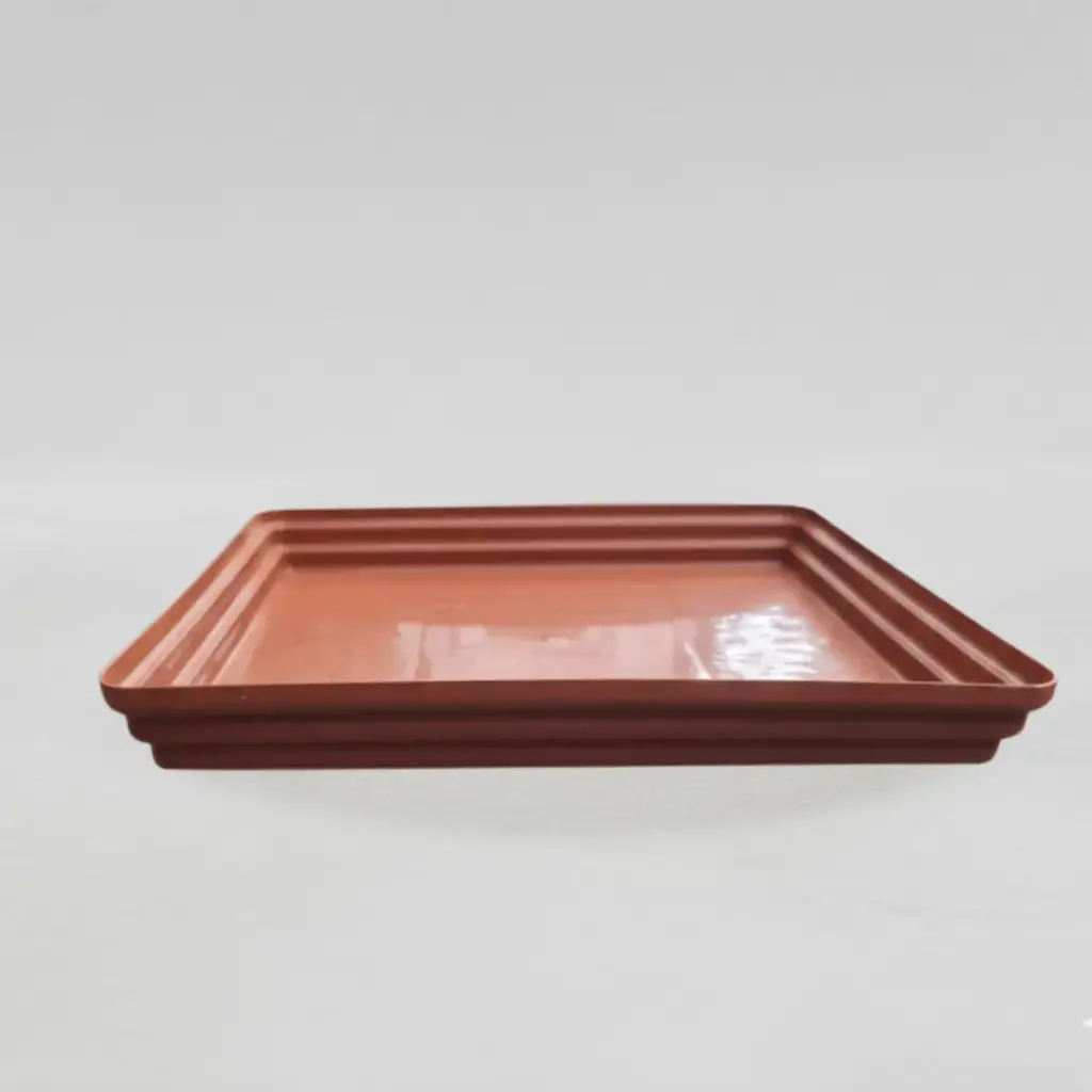 Tray No 55 TC