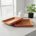 Tray No 55 TC