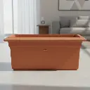 पॉट टीम 75