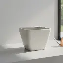 पॉट ग्लेज क्यूब 30