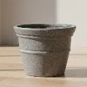 कॉस्मॉस पॉट 70