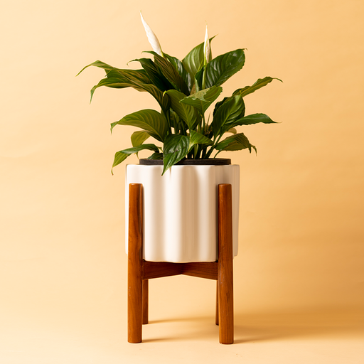 Pot Balmy Waves Large With Stand
