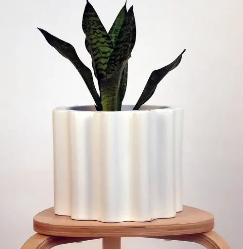 Pot Balmy Waves Medium 