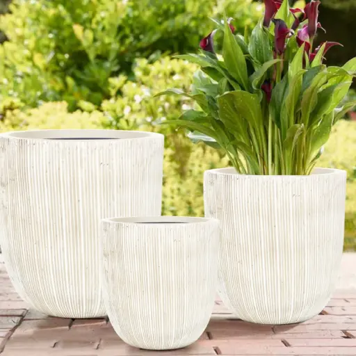 पॉट नेचर रिड्ज्ड