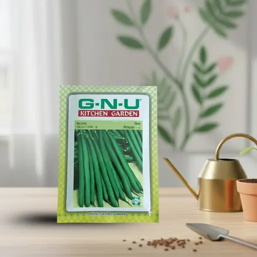 [VESE BESE W10GM] Seed Beans Selection-9