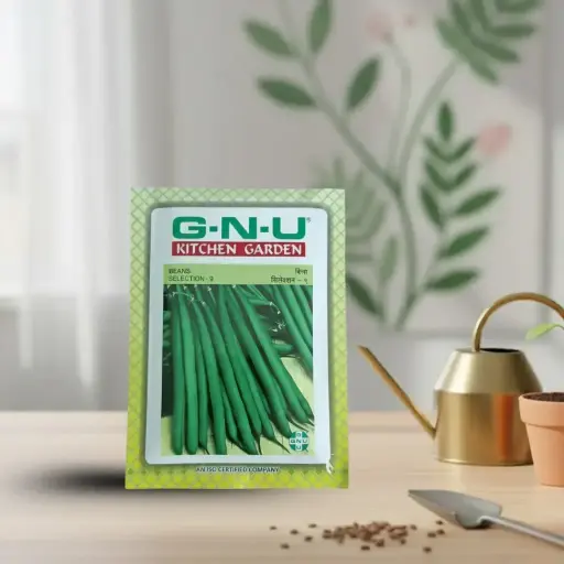 [VESE BESE W10GM] Seed Beans Selection-9