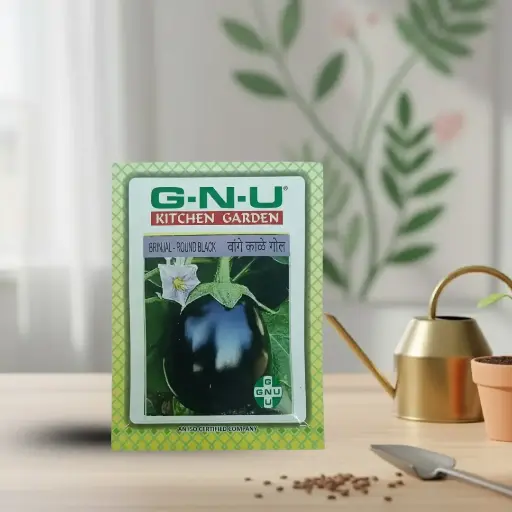 सीड ब्रिंजल राऊंड ब्लॅक