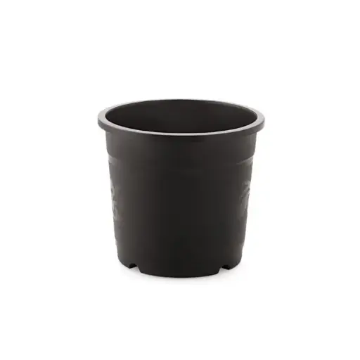 Pot Nisarga 202