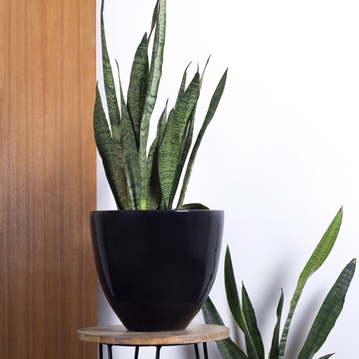 Pot Echoing Eternity Slim Large
