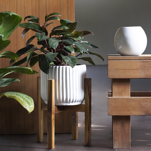 Pot Pheonix Medium with Stand