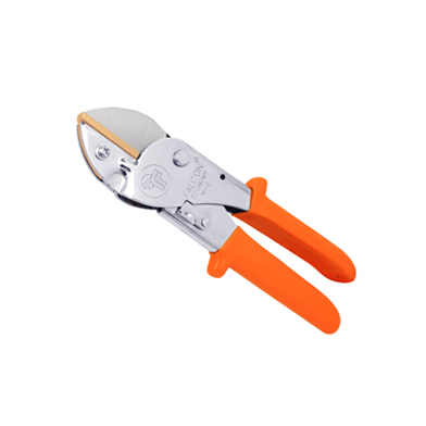 Anvil Secateur