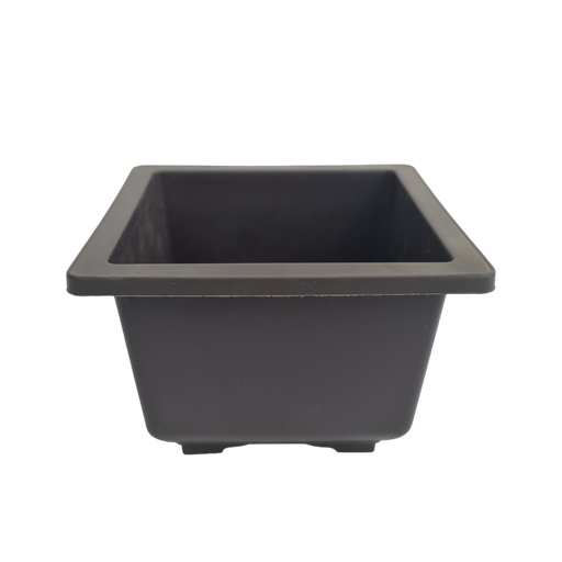 Pot Bonzi Square