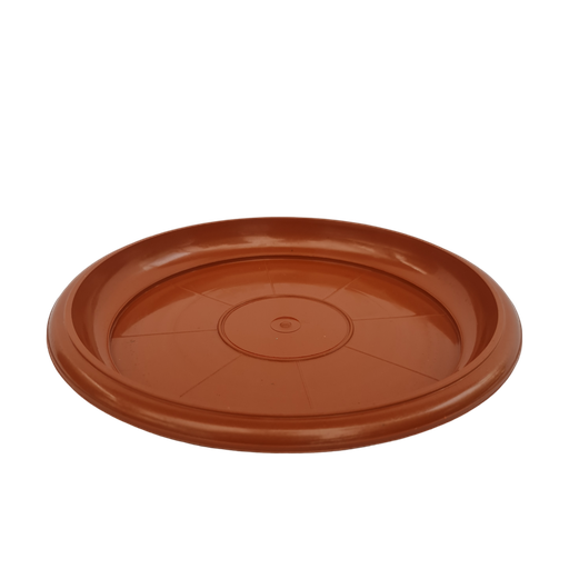 Tray No 1