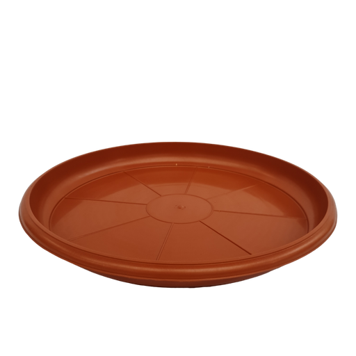 Tray No 4