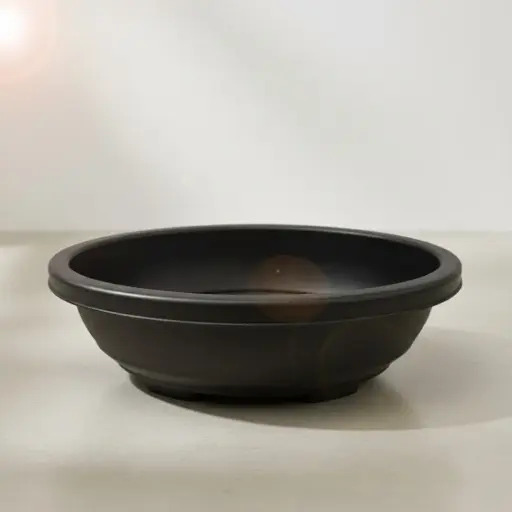 पॉट बोंसाई 1