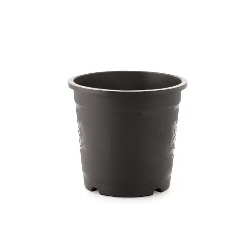 Pot Nisarga 203 (copy)