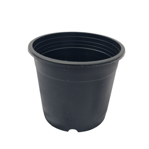 Pot Eurotype-16.5cm