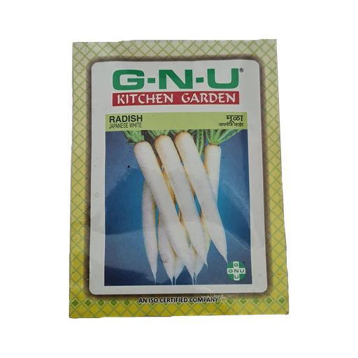 [VESE RAJW W10GM] Seed Radish Japanese White 10 gm