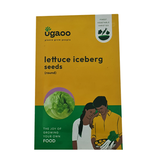 Seed Lettuce
