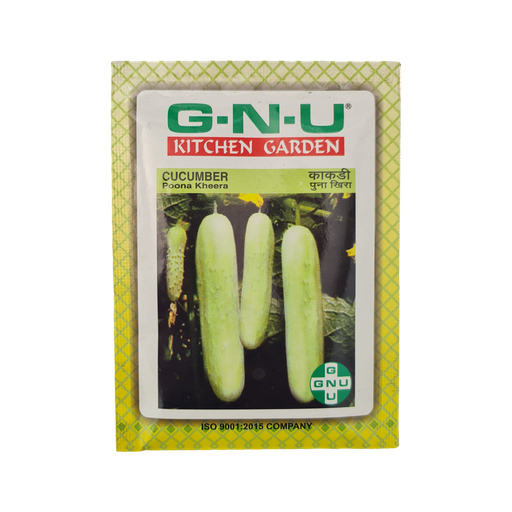 [VESE CUPK W10GM] Seed Cucumber Poona Kheera 10 gm