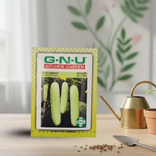 [VESE CUPK W10GM] Seed Cucumber Poona Kheera 10 gm