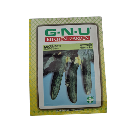 [VESE CUDG W10GM] Seed Cucumber Dharwad Green 10 gm