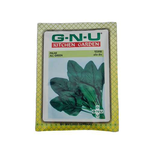 [VESE SPAG W10GM] Seed Spinach All Green 10 gm