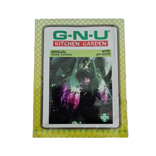 [VESE BRPK W10GM] Seed Brinjal Puneri Kateri 10 gm